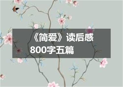 《简爱》读后感800字五篇