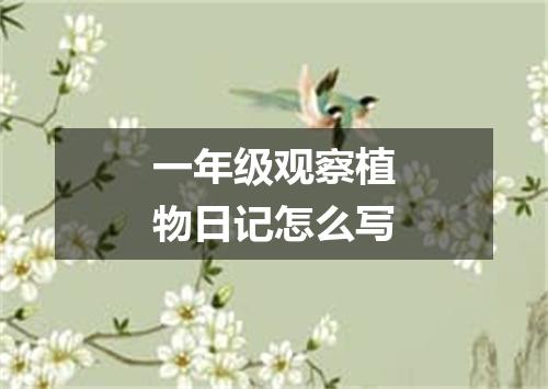 一年级观察植物日记怎么写