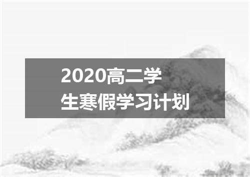 2020高二学生寒假学习计划
