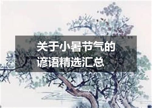 关于小暑节气的谚语精选汇总