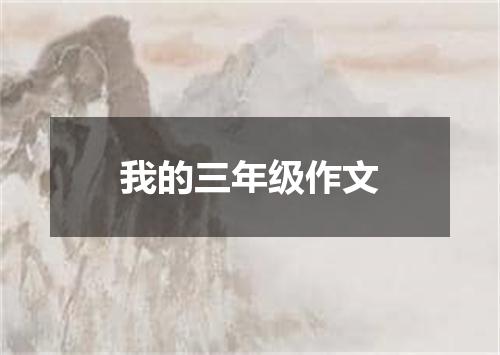 我的三年级作文