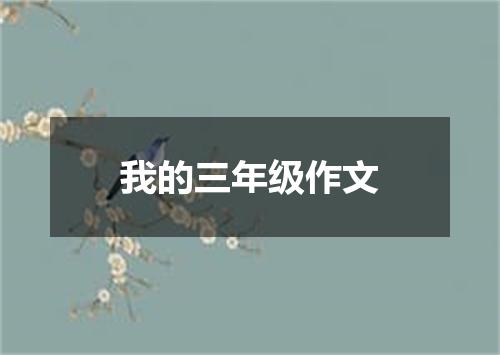 我的三年级作文