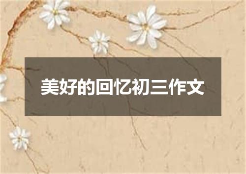 美好的回忆初三作文