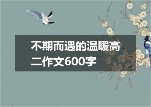 不期而遇的温暖高二作文600字