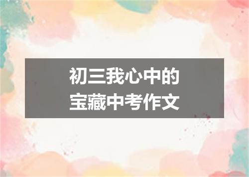 初三我心中的宝藏中考作文