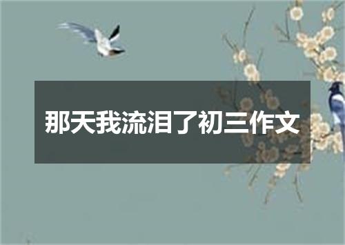 那天我流泪了初三作文