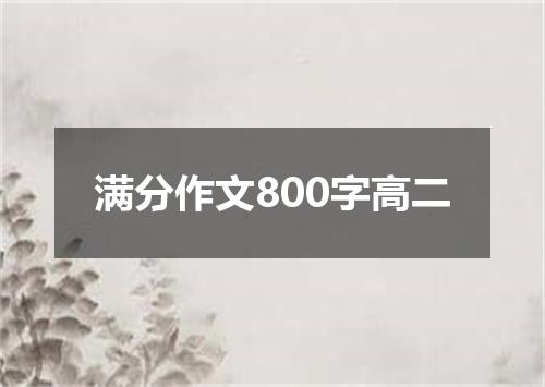 满分作文800字高二