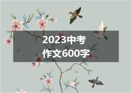 2023中考作文600字