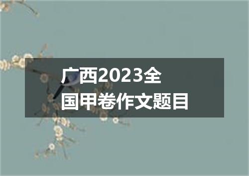 广西2023全国甲卷作文题目