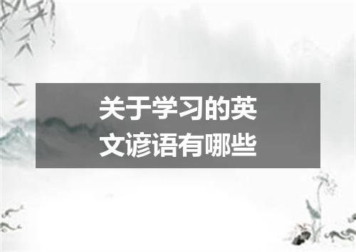 关于学习的英文谚语有哪些