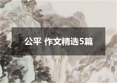 公平 作文精选5篇
