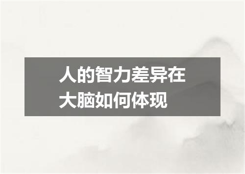 人的智力差异在大脑如何体现