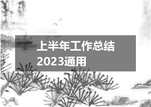 上半年工作总结2023通用