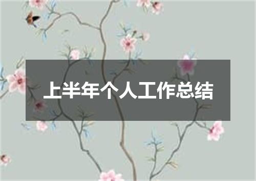 上半年个人工作总结