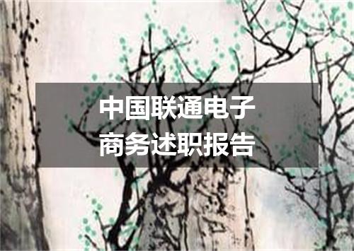 中国联通电子商务述职报告