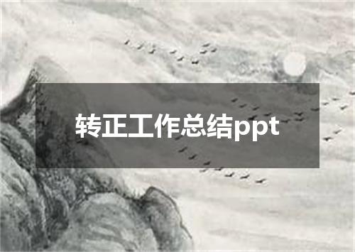 转正工作总结ppt