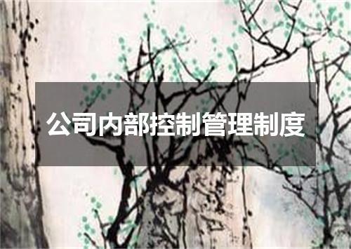 公司内部控制管理制度