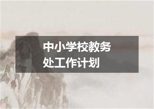 中小学校教务处工作计划