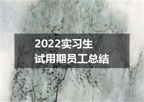 2022实习生试用期员工总结