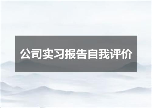 公司实习报告自我评价
