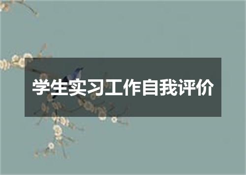 学生实习工作自我评价
