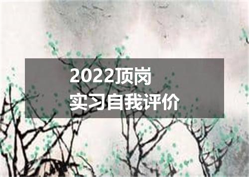 2022顶岗实习自我评价