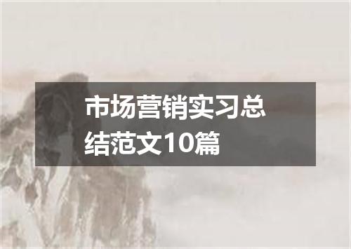 市场营销实习总结范文10篇
