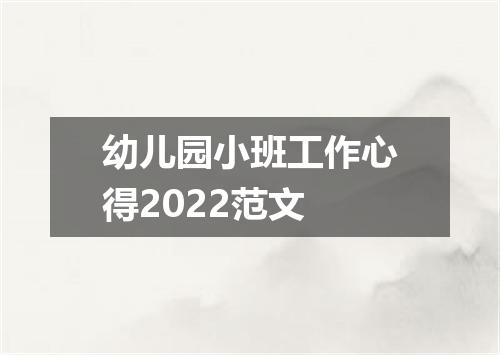 幼儿园小班工作心得2022范文