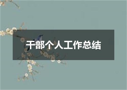 干部个人工作总结