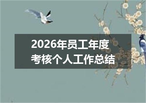 2026年员工年度考核个人工作总结