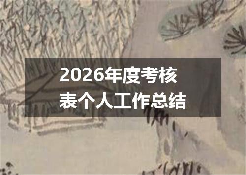 2026年度考核表个人工作总结