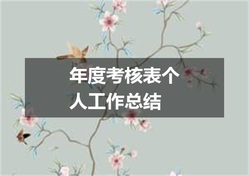年度考核表个人工作总结