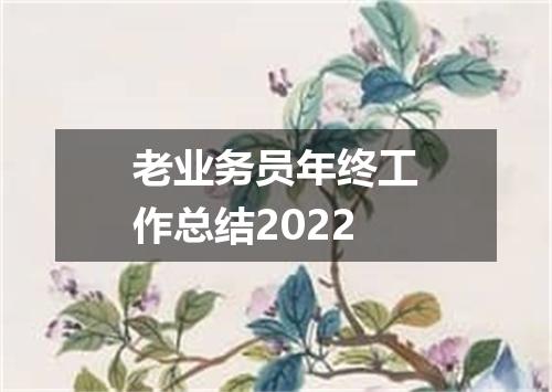 老业务员年终工作总结2022