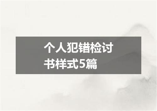 个人犯错检讨书样式5篇
