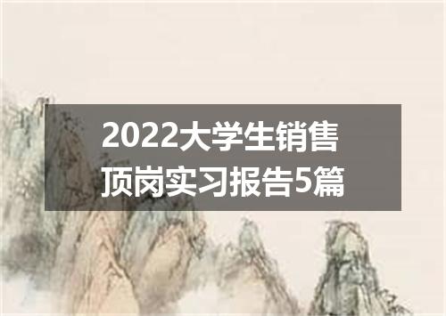2022大学生销售顶岗实习报告5篇