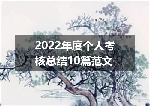 2022年度个人考核总结10篇范文