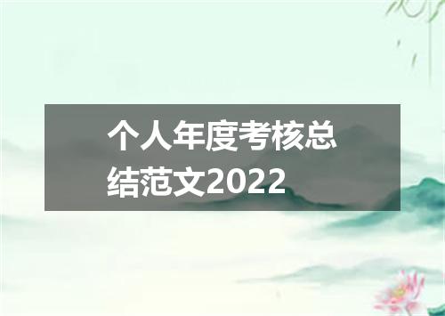 个人年度考核总结范文2022