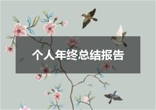 个人年终总结报告