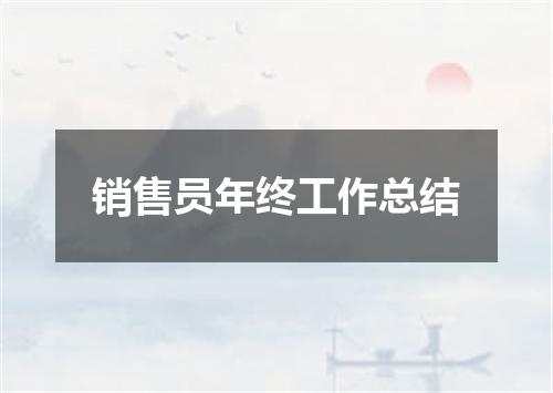 销售员年终工作总结