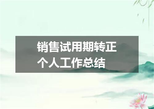 销售试用期转正个人工作总结