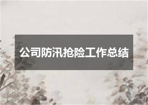 公司防汛抢险工作总结