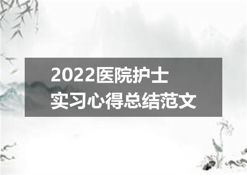 2022医院护士实习心得总结范文