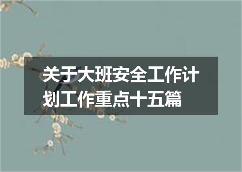 关于大班安全工作计划工作重点十五篇