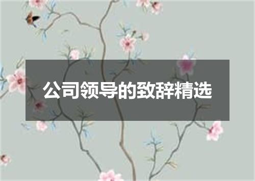 公司领导的致辞精选