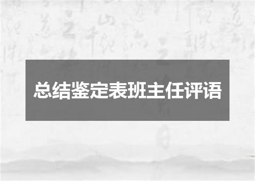 总结鉴定表班主任评语