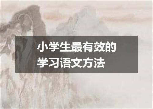小学生最有效的学习语文方法