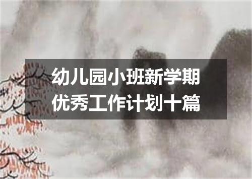 幼儿园小班新学期优秀工作计划十篇