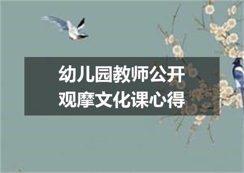 幼儿园教师公开观摩文化课心得