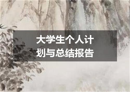 大学生个人计划与总结报告