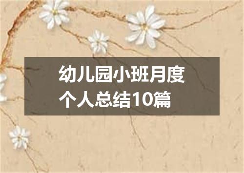 幼儿园小班月度个人总结10篇